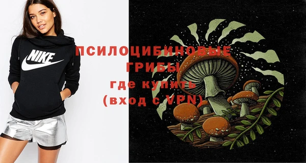 СК Осинники